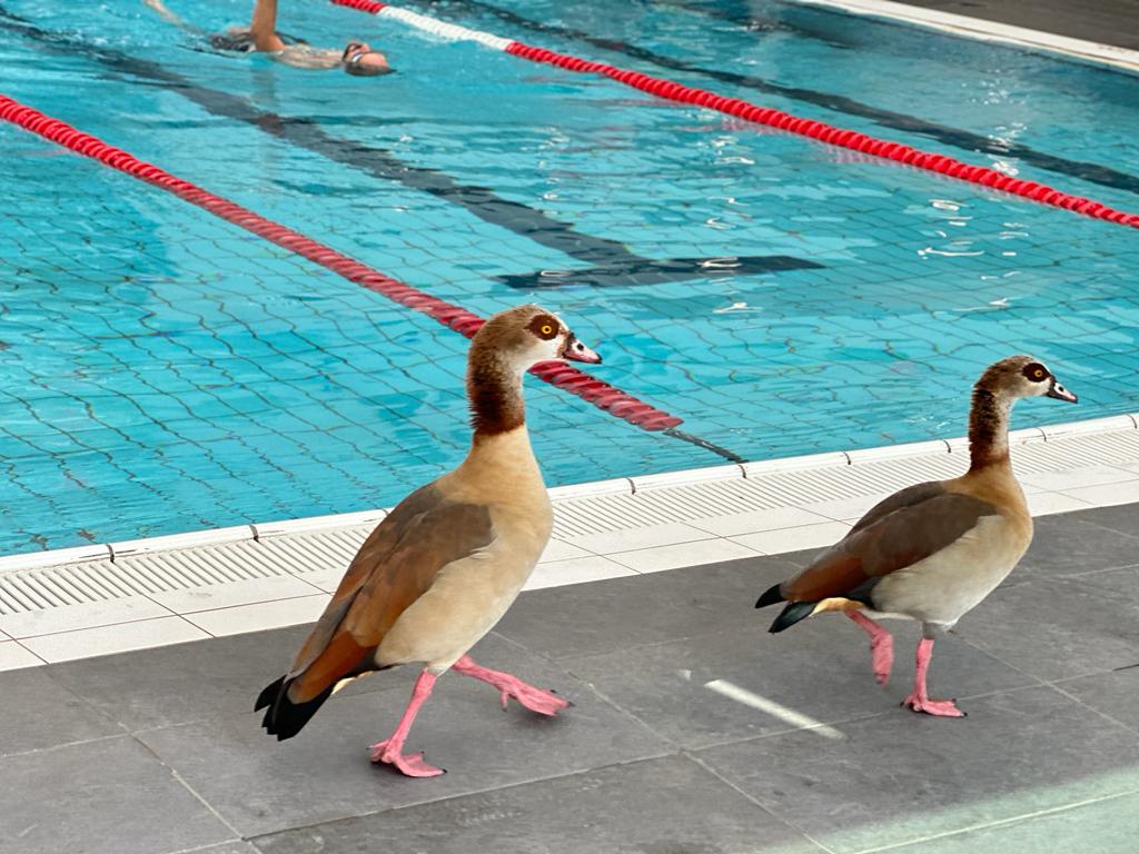 WhatsApp Image 2023-11-02 at 08.40.24 (1).jpeg